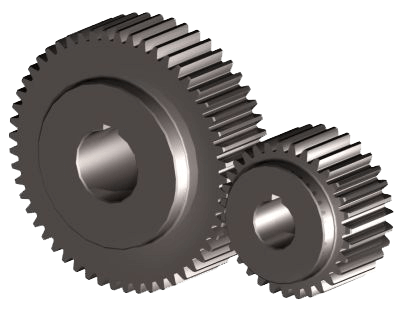Spur Gear