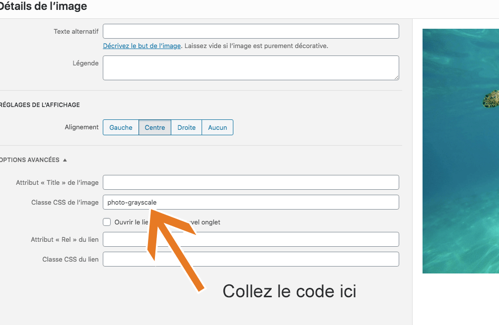 Ajouter des effets au survol de la souris sur une image - 6temFlex - Créer  un site Internet professionnel basé sur Wordpress