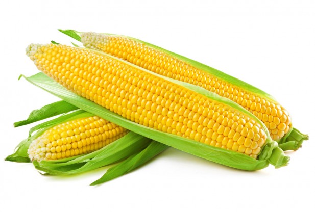 corn