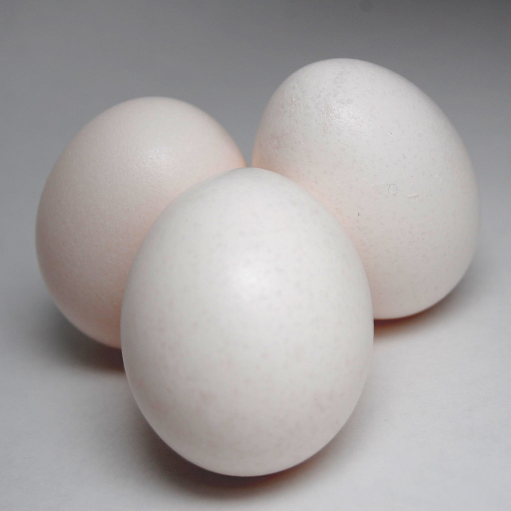 eggs1