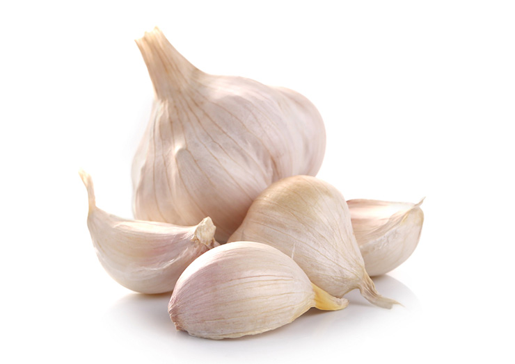 garlic