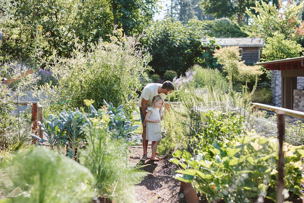 father and daughter in vegetable garden