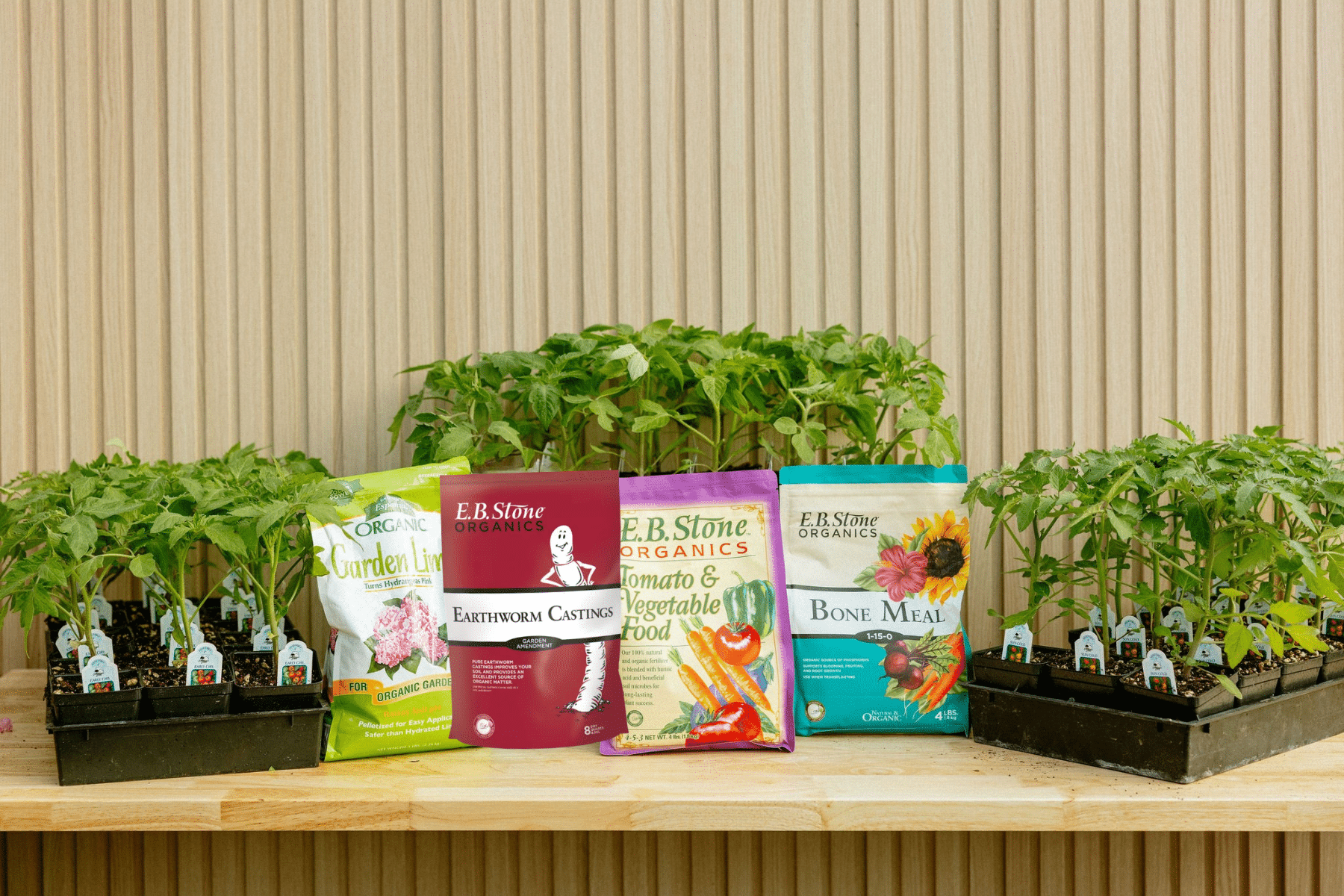 The Ultimate Tomato Growing Guide: How to Plant, Grow & Care for Tomatoes