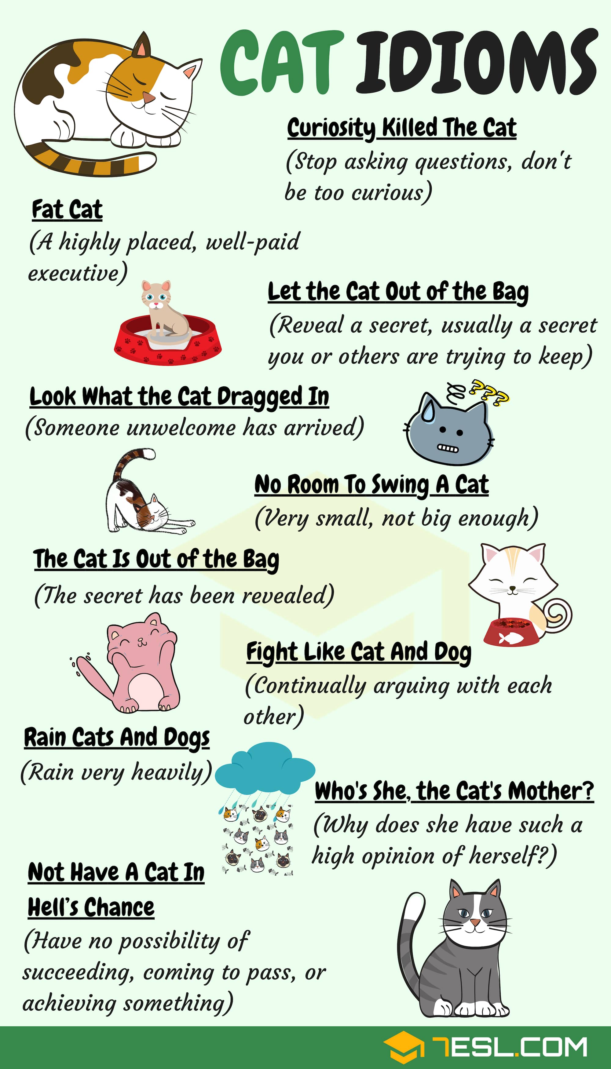 Cat idioms • 7esl