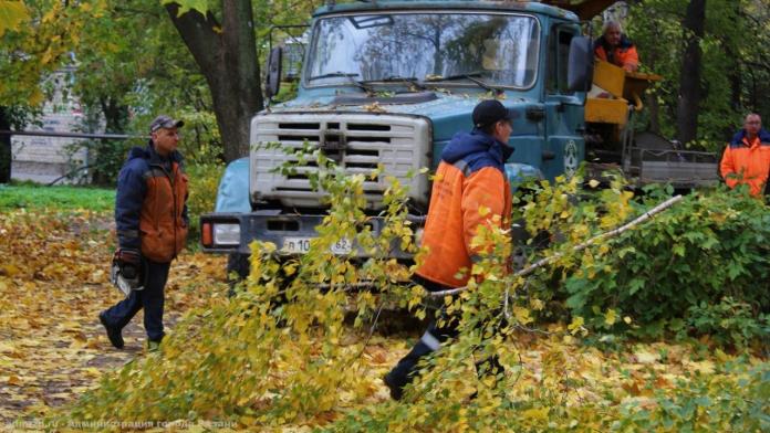 10 октября на улице Высоковольтной спилили аварийные деревья 10 октября на улице Высоковольтной спилили аварийные деревья Также Дирекция благоустройства провела обрезку каштана, 29 берёз и 9 лип.