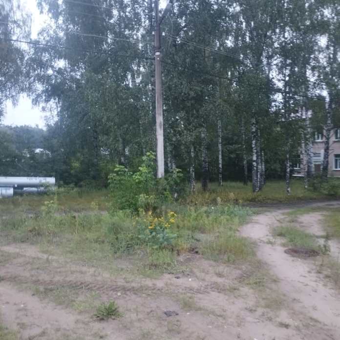 Жители Солотчи возмущены установкой вышки связи у домов и детской площадки Жители Солотчи возмущены установкой вышки связи у домов и детской площадки Жители Рязани беспокоятся, что установка вышки негативно скажется на здоровье людей.