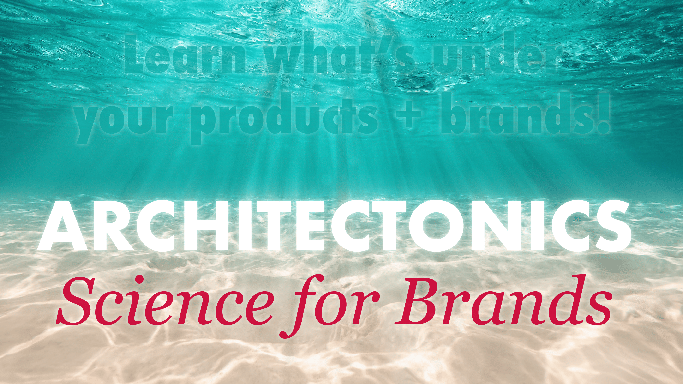 Checklist, are you Living up to your Brand’s Potential?