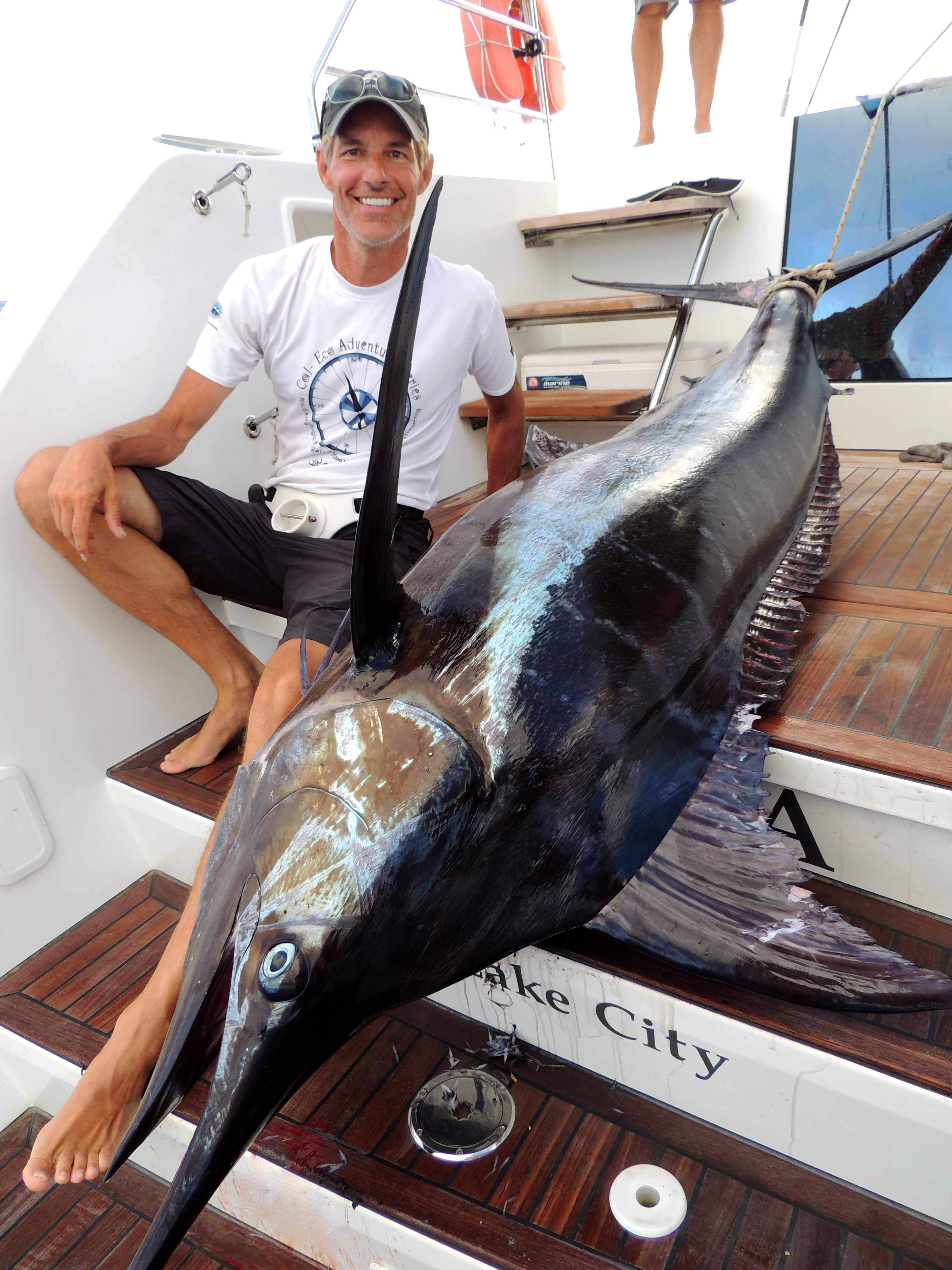 One big marlin off the coast of the Galapagos Islands