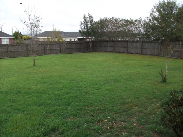 Fenced-in Yard