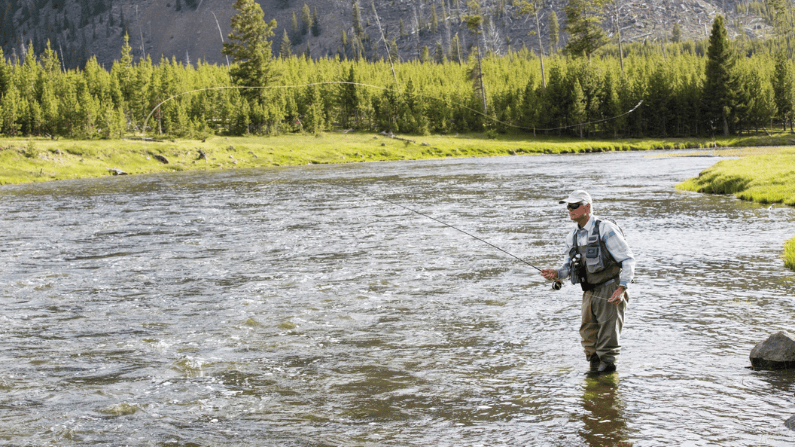 A fisherman casts in Yellowstone National Park.