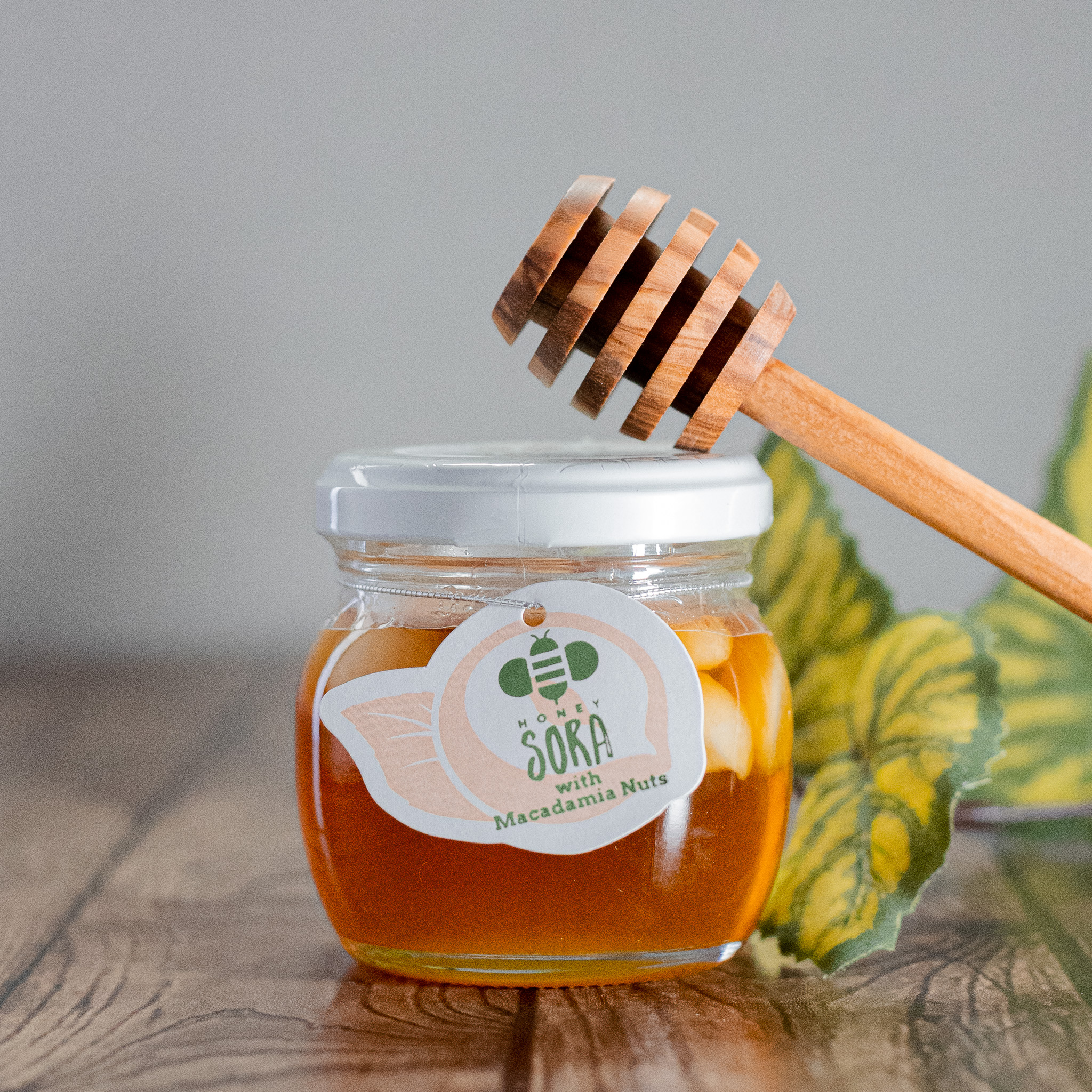 【超希少・新品実物】OMOH官品ソフトシェル上下セット SORA HONEY HALEIWA with Macadamia Nuts - SORA HONEY