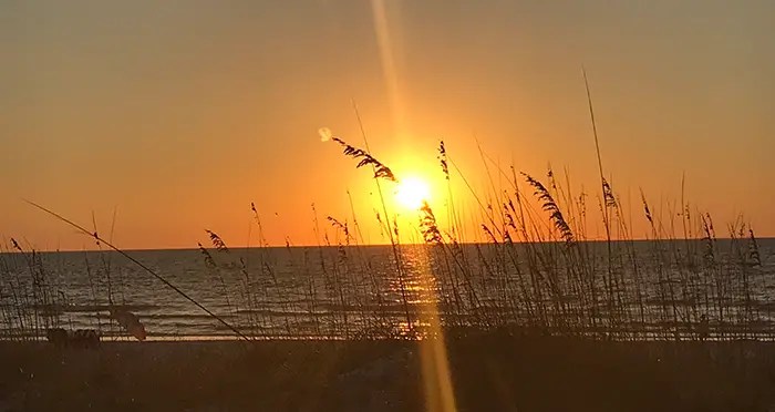 Get in contact with us image of sunset