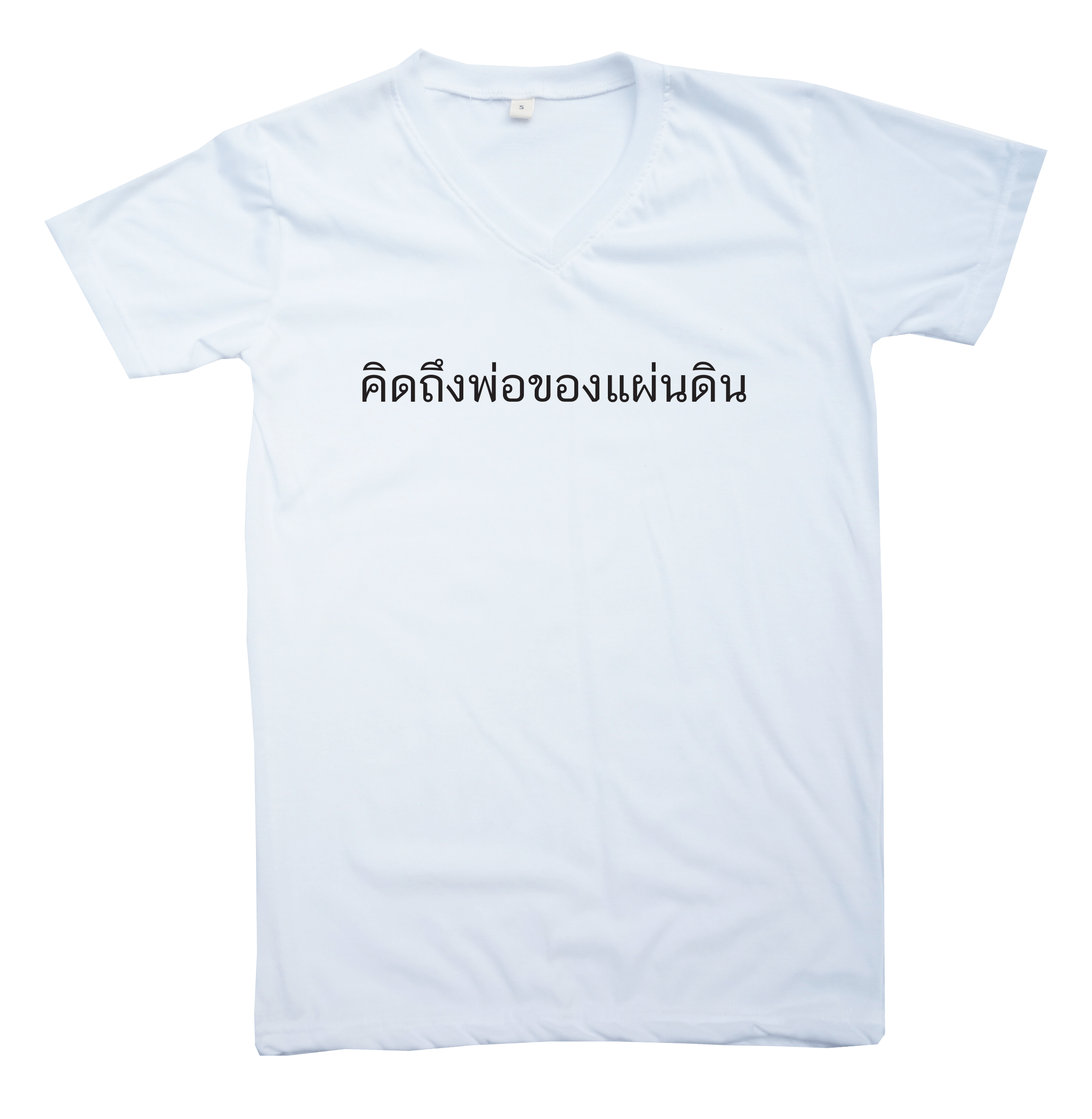 คิดถึงพ่อของแผ่นดิน