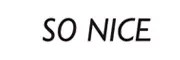 sonice-logo-bg-66e94c8cbb2be