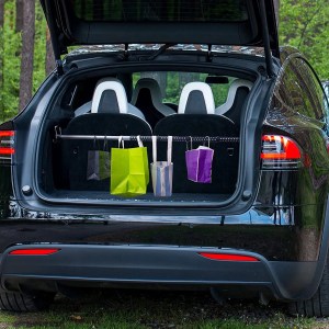 Green lion Car Expandable Clothes Bar-black