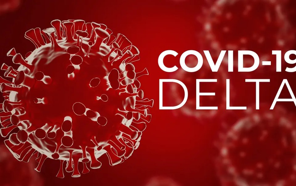 covid-19-delta-variants