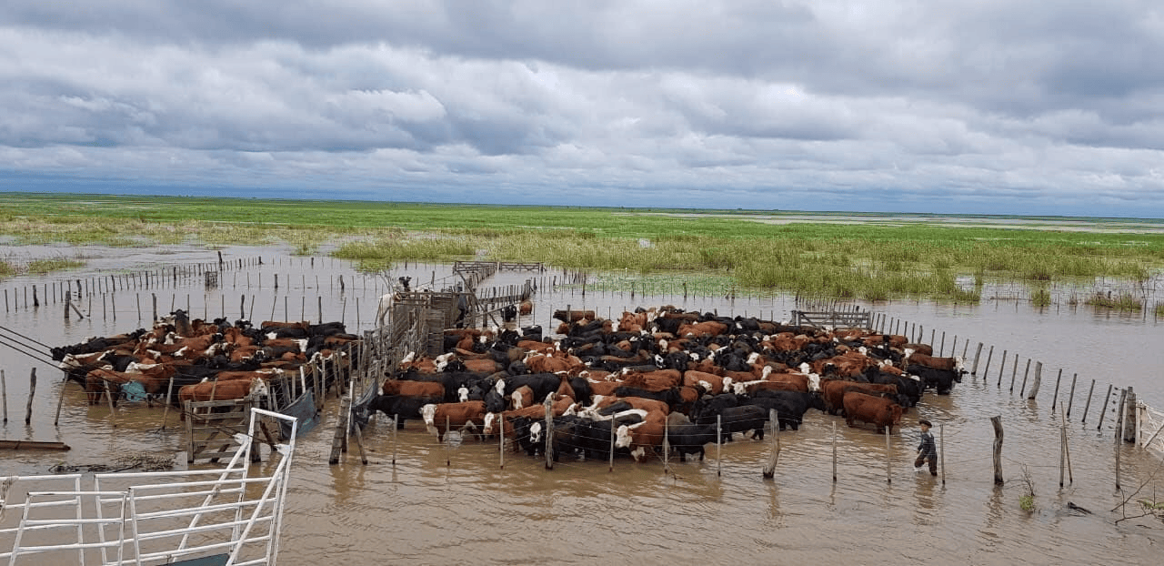 La OMM advirtió que El Niño alcanzará su punto máximo en diciembre