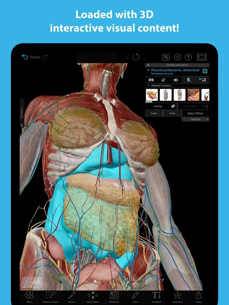 Human Anatomy Atlas 2026 V2026 005 009 APK MOD Unlocked All Download Human Anatomy Atlas 2024 7.webp