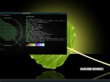 Bodhi Linux 7 0 Released With Linux Kernel 6 4 Based On Ubuntu 22 04