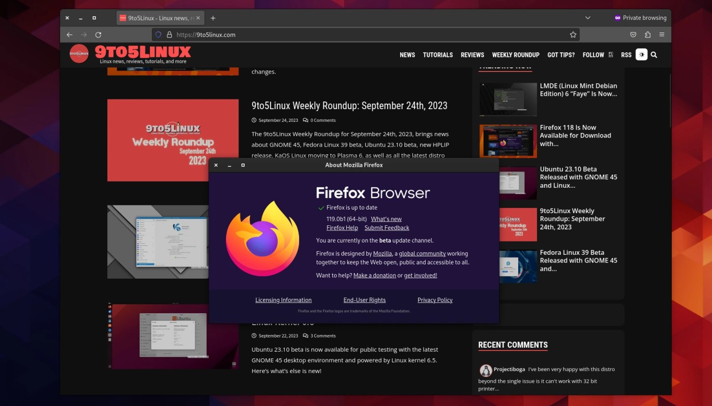 Firefox 119