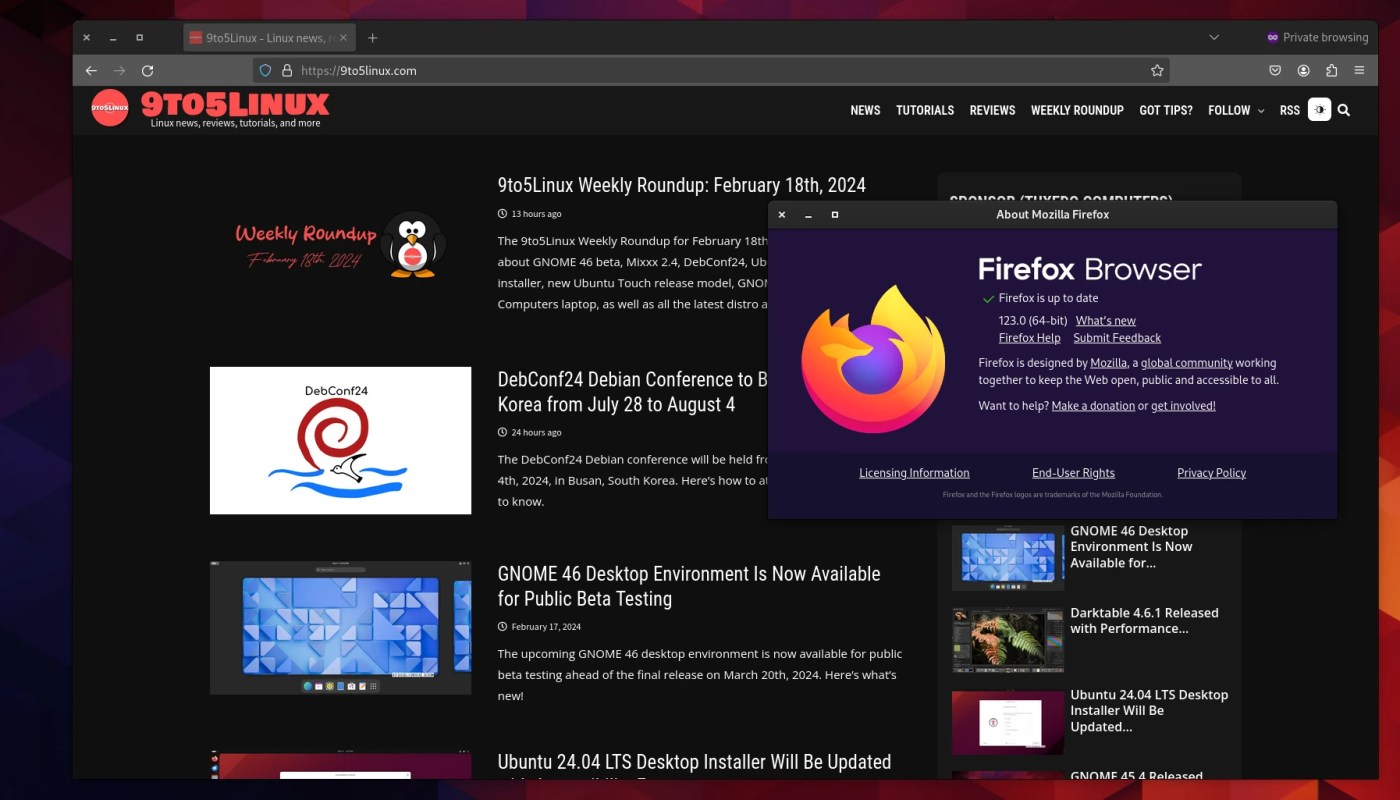 Mozilla Firefox 123