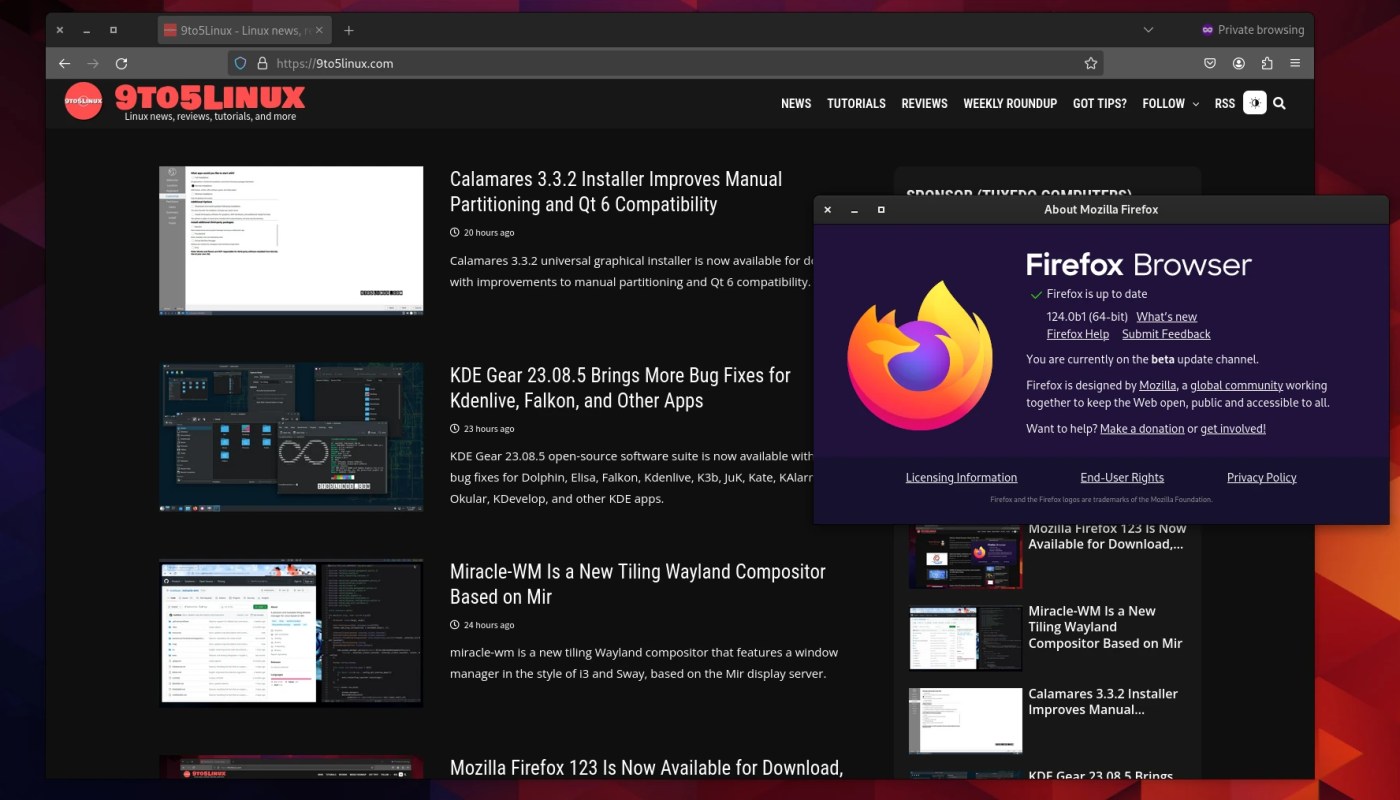 Firefox 124 beta