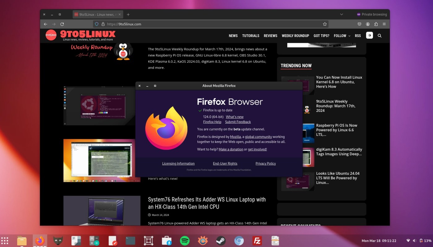 Mozilla Firefox 124