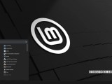 Mint Cinnamon Desktop