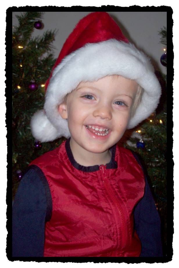 Toddler Christmas Portraits