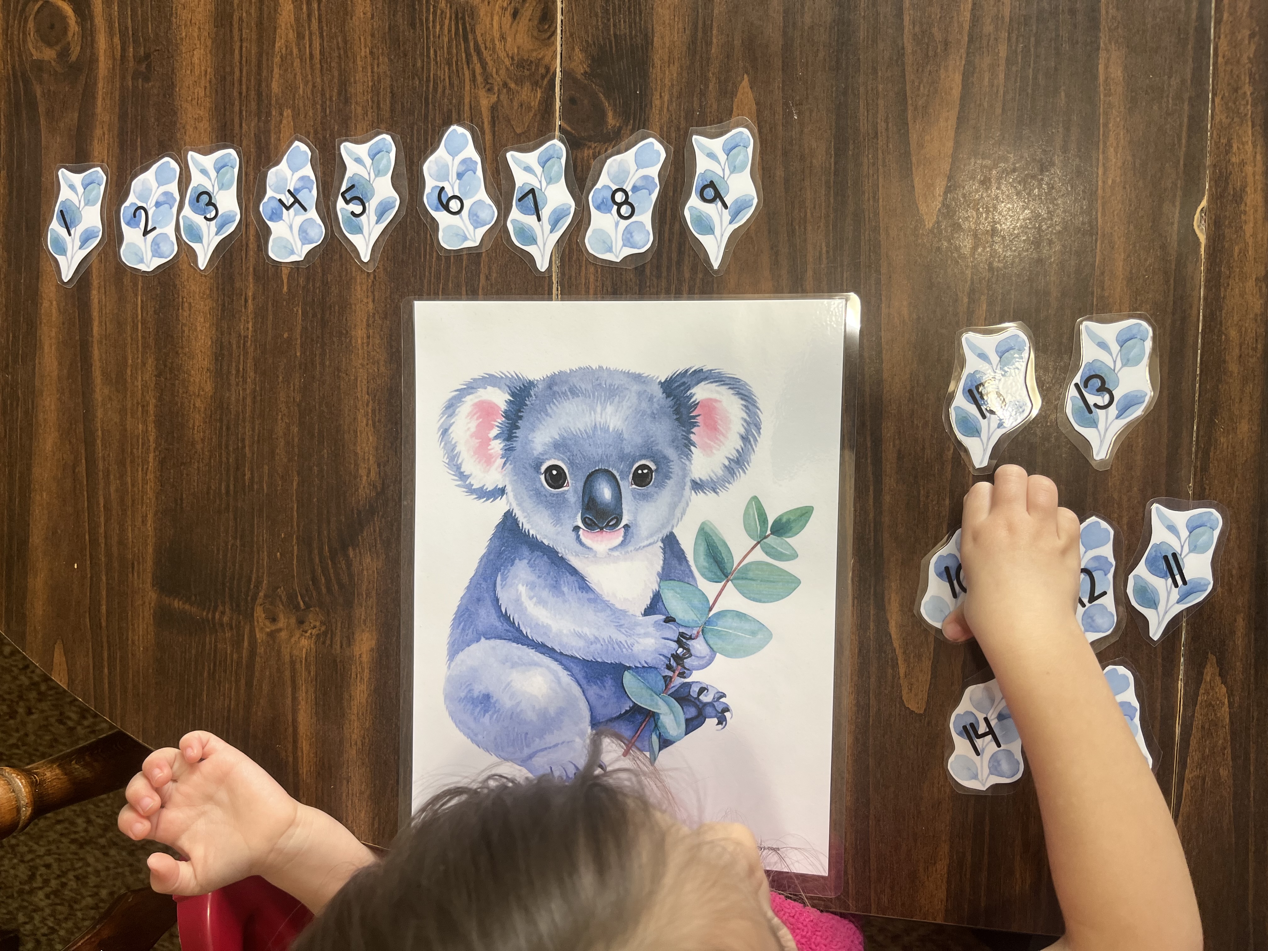 Koala-5.jpg?resize=840,630&ssl=1
