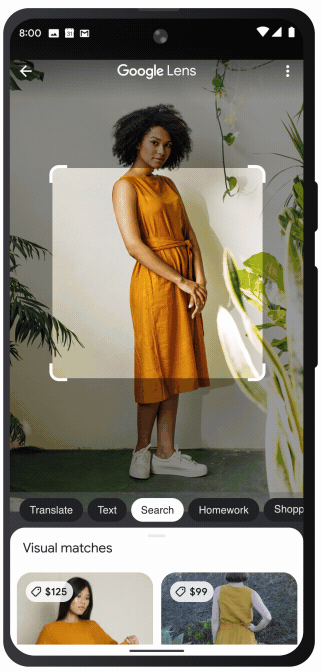 Google Lens multisearch