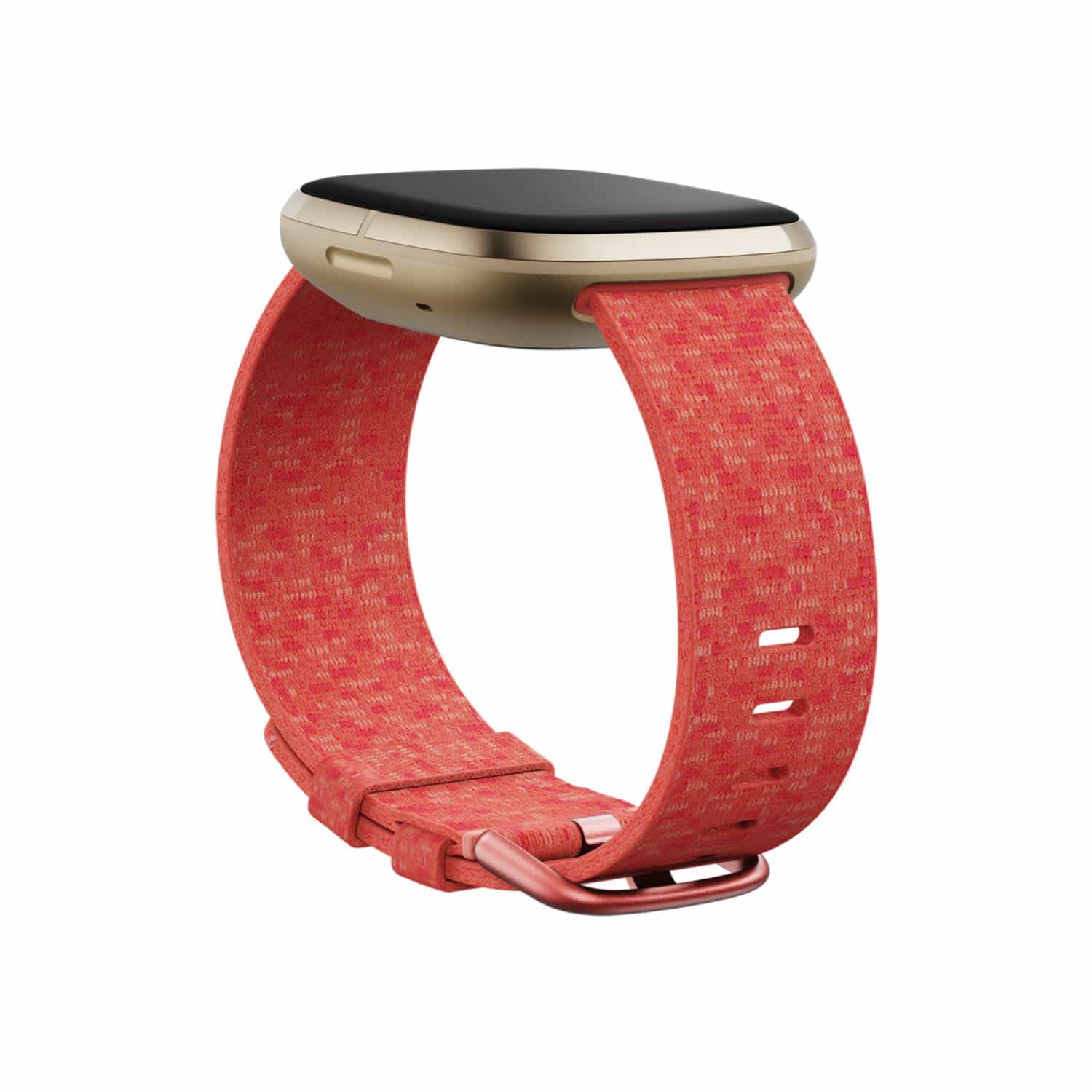 apple watch band