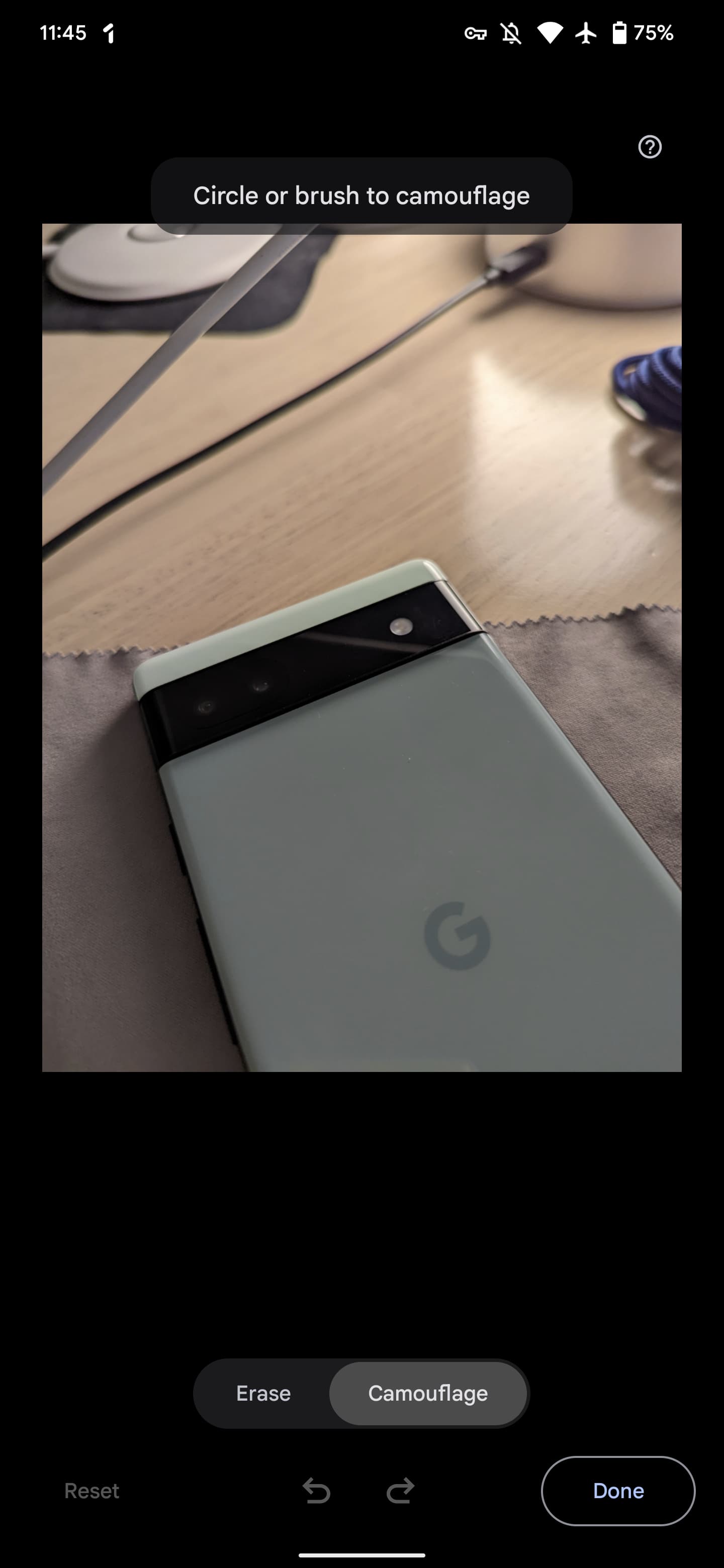 Pixel 6 Magic Eraser Camouflage