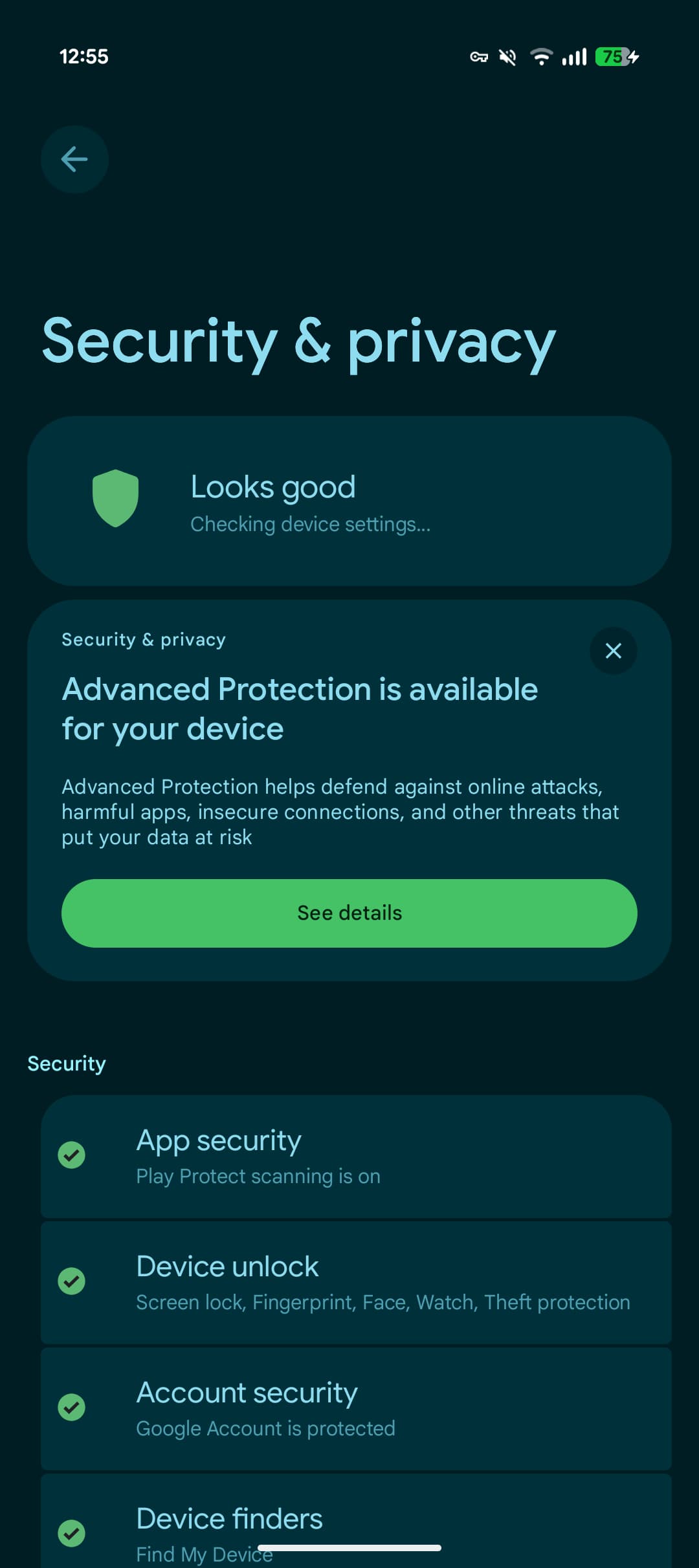 Android 16 Advanced Protection