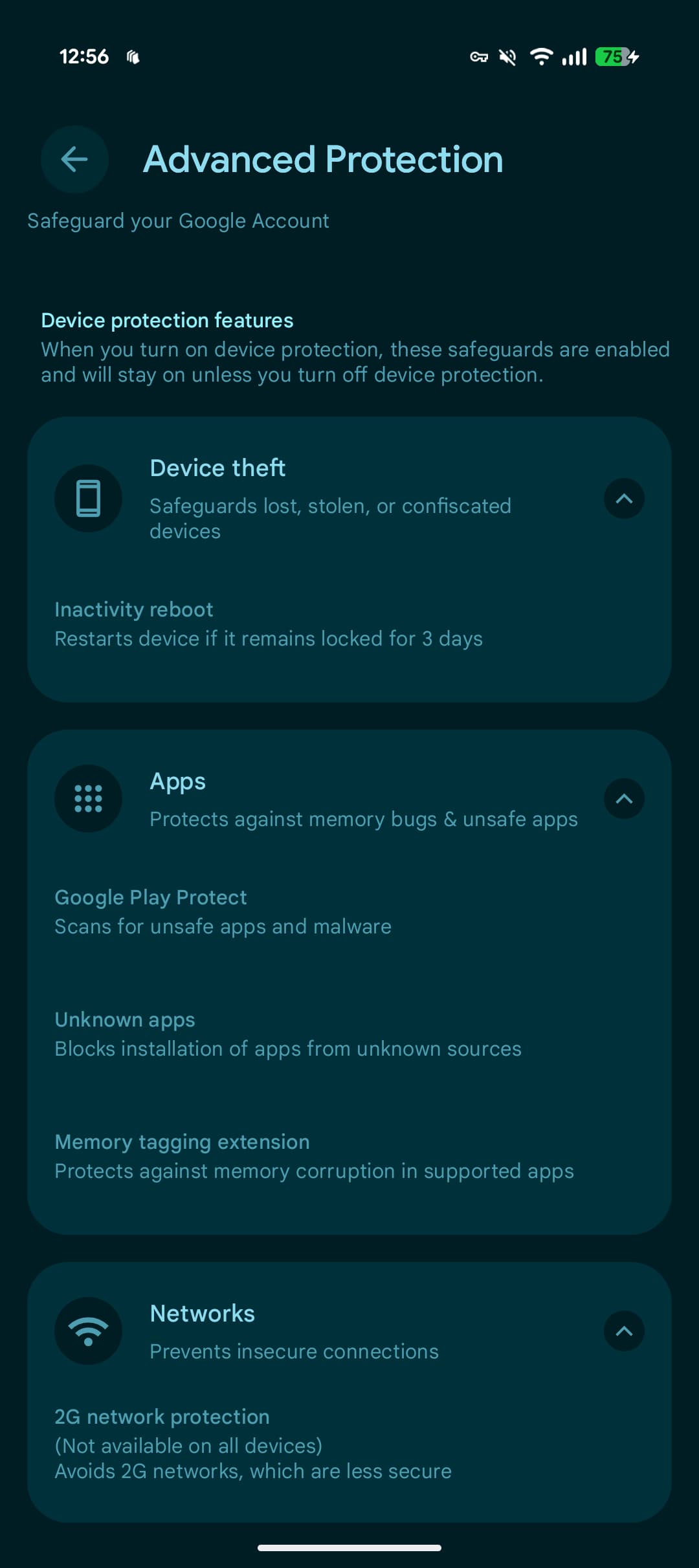 Android 16 Advanced Protection