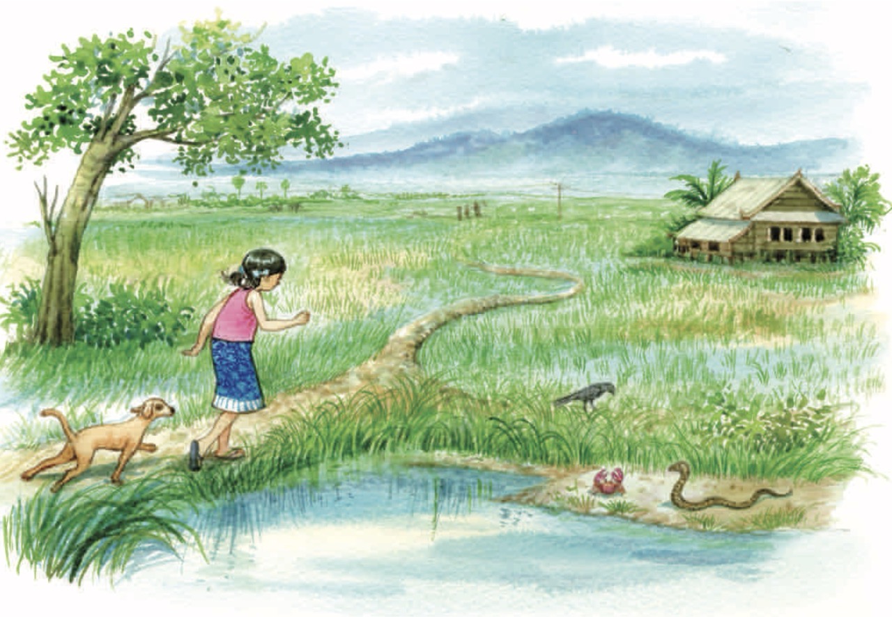 Chapter 2 story illustration