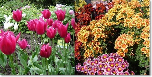 Выходы и выходы метро ботанический сад (оранжевая): Bal Hrizantem Marshrut Vyhodnogo Dnya Volkswagen Polo Sedan 1 6 L 2012 Goda Na Drive2