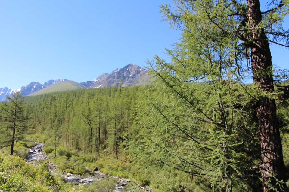 Поход на озеро куйгук и одноименный водопад куйгук занимает весь день. Altaj Multinskie Ozera 17 20 Iyulya Chast Tretya Vodopad Kujguk I Odnoimennoe Ozero Honda Civic Hatchback 1 5 L 2001 Goda Na Drive2