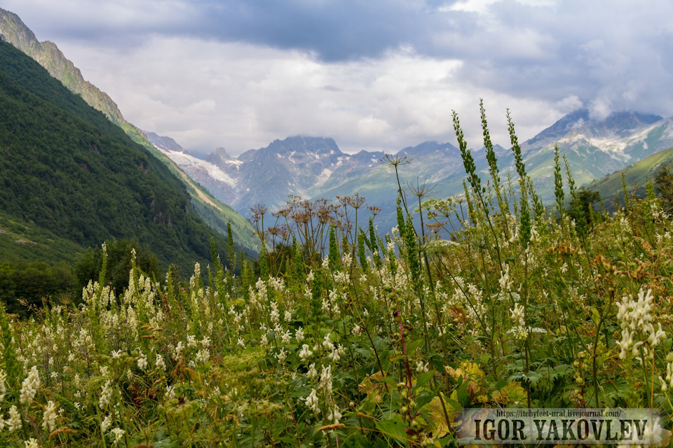 Направо тропинка уходит в ущелье птыш к птышским водопадам, однако путь к ним . V Gosti K Kamennym Strazham Chast 5 Ushele Dombaj Ulgen Chuchhurskij Vodopad Soobshestvo Drajver Puteshestvennik Na Drive2