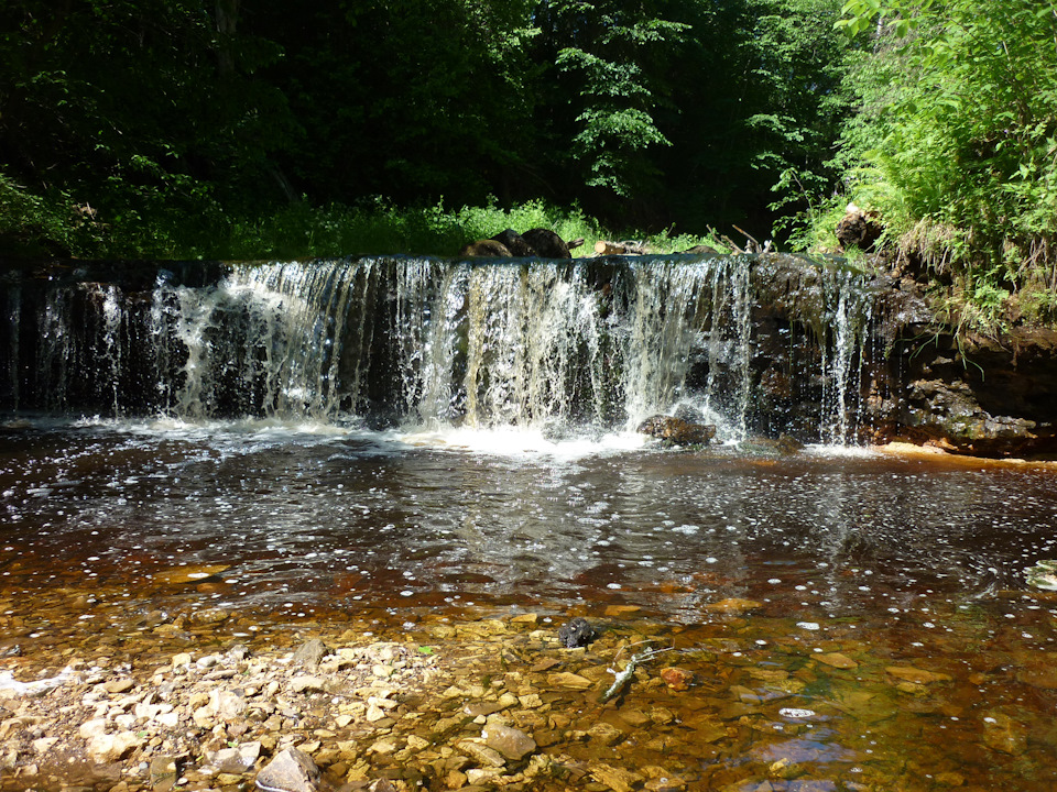 Прикша — небольшая речка в любытинском районе. Vodopady Na R Priksha Honda Cr V 2 4 L 2008 Goda Na Drive2