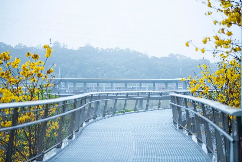 full view of pedestrian walkway