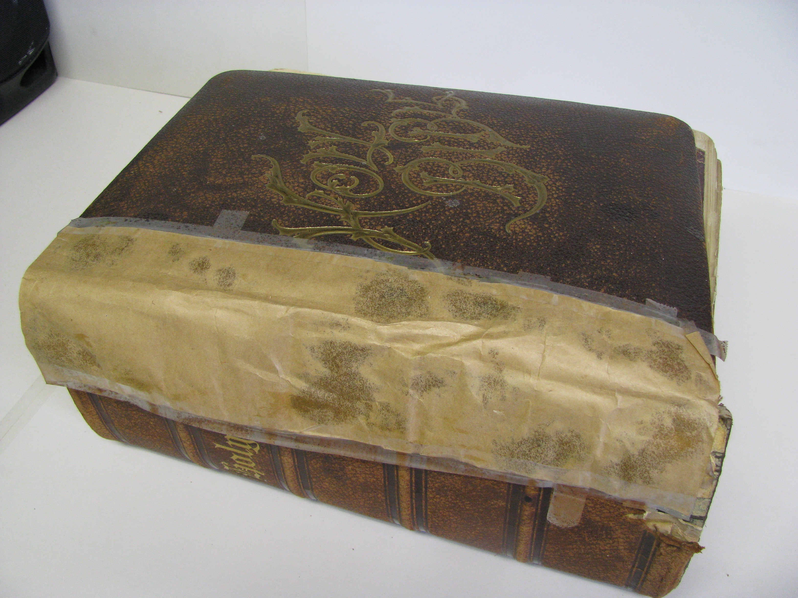 Before image of the Holy Bible