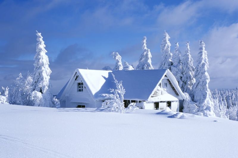 winter