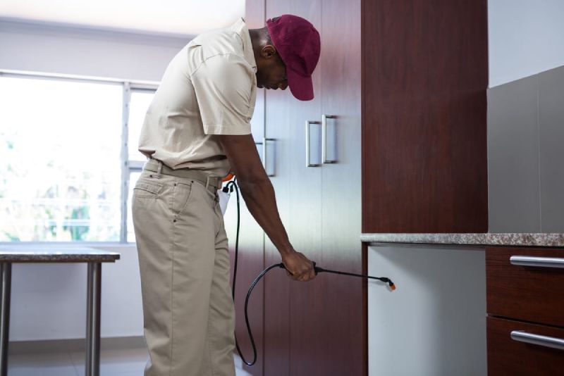 pest control apartment