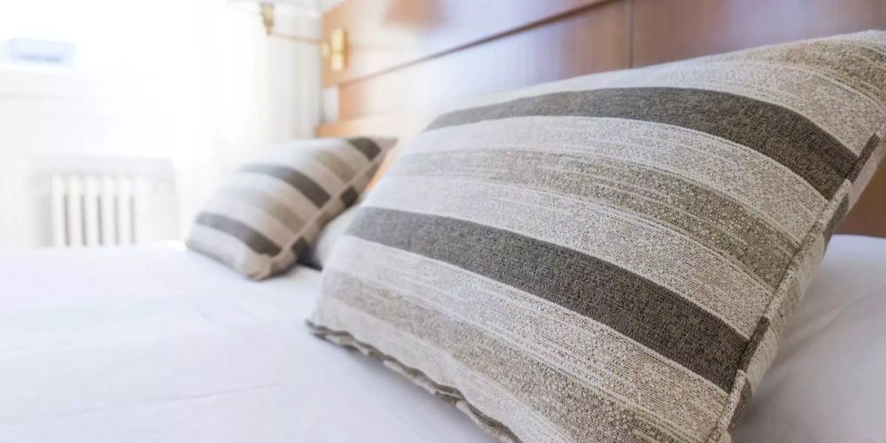 Building Bed Bug Exterminator Salt Lake City Plastics