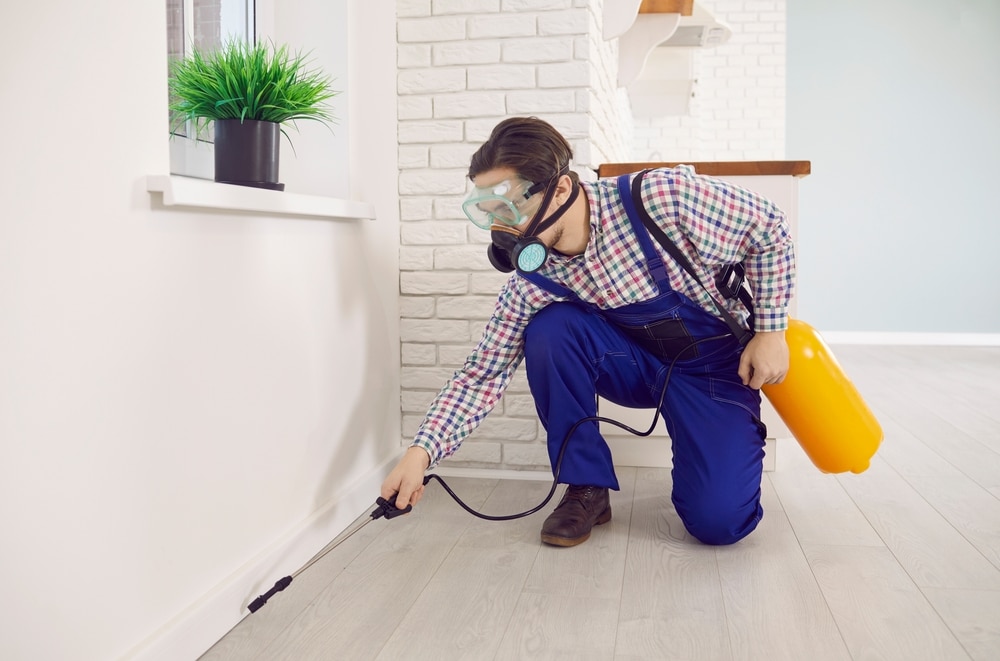 complete guide ant control