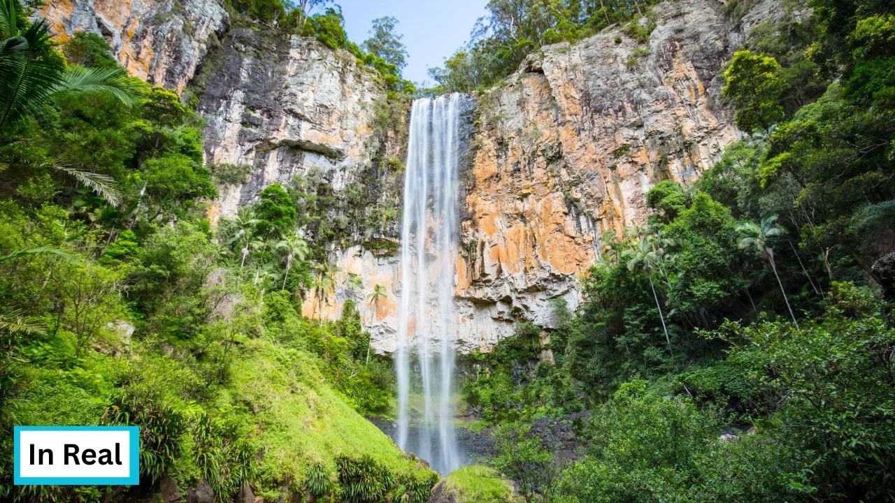 Anaconda Filming Locations (2025) 7 Purling Brook Falls, Springbrook National Park