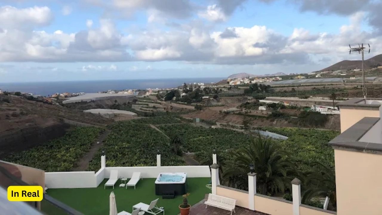 Finca Los Palmitos, Gran Canaria In Real