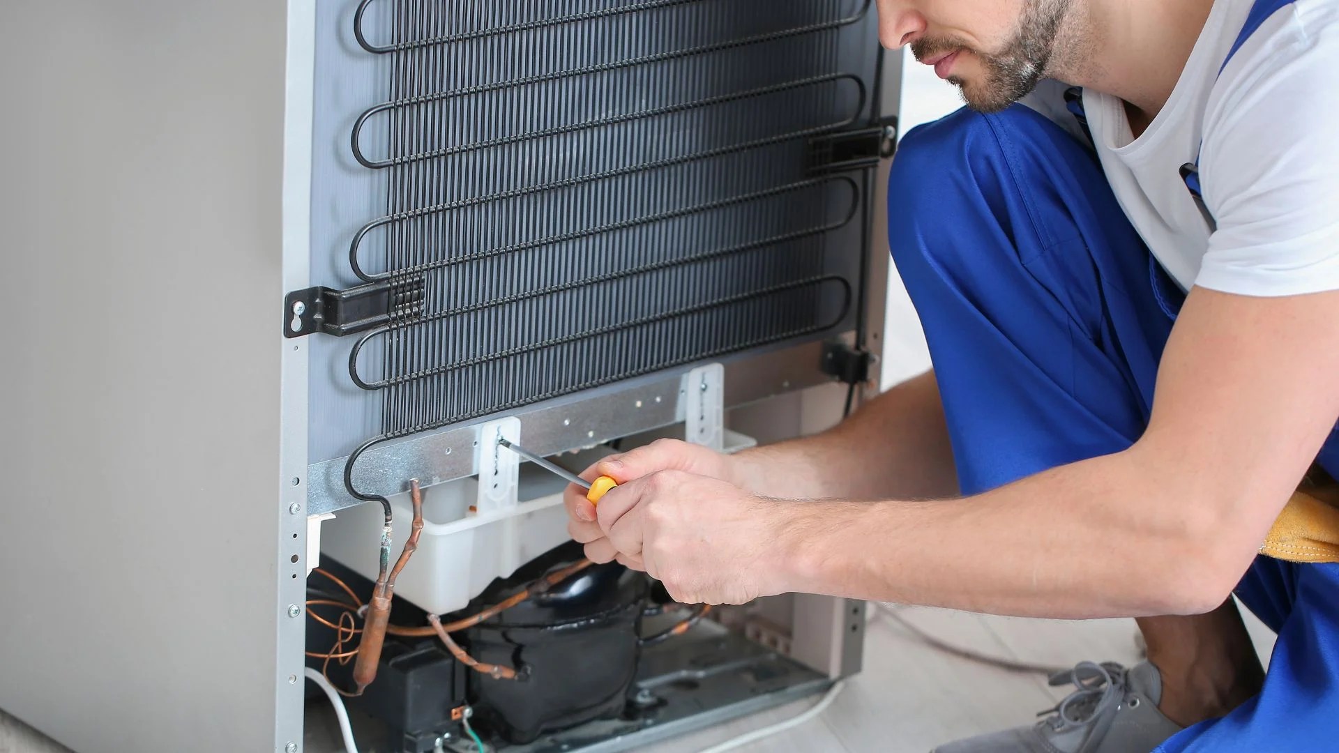 Untitled design (57)