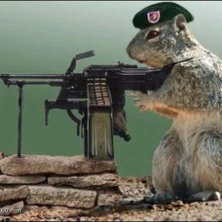 Machine Gun Accessories